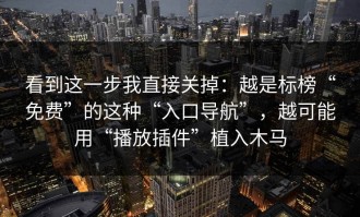 看到这一步我直接关掉：越是标榜“免费”的这种“入口导航”，越可能用“播放插件”植入木马