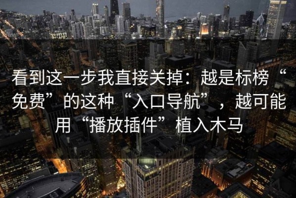 看到这一步我直接关掉：越是标榜“免费”的这种“入口导航”，越可能用“播放插件”植入木马